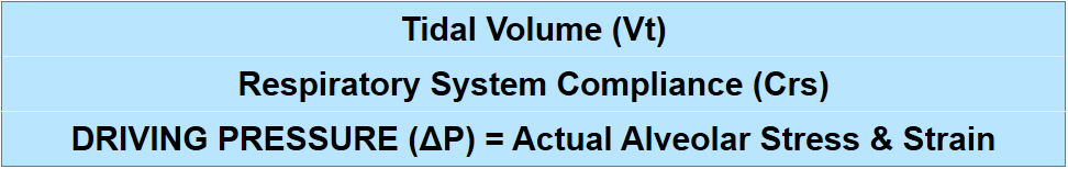 表格1-Chenwei Medical-The Critical Role of Driving Pressure in Protective Mechanical Ventilation.png